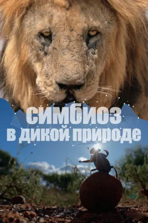 Симбиоз в дикой природе (сериал 2023)